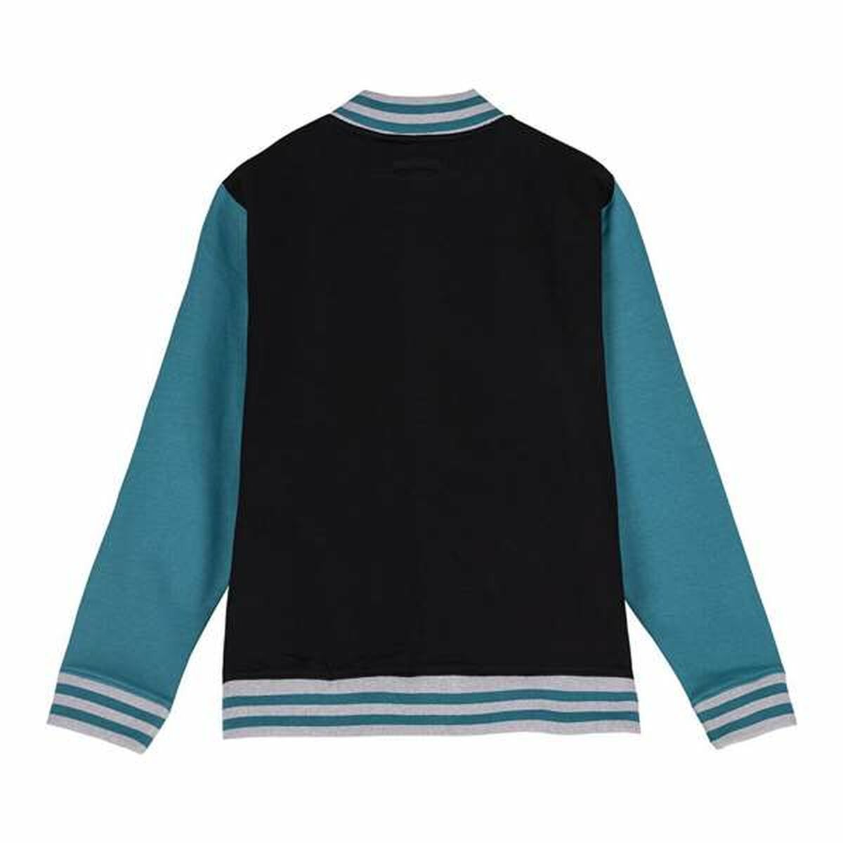 V6H736B5E3415A86223814A838091C4AD17R5507996P2