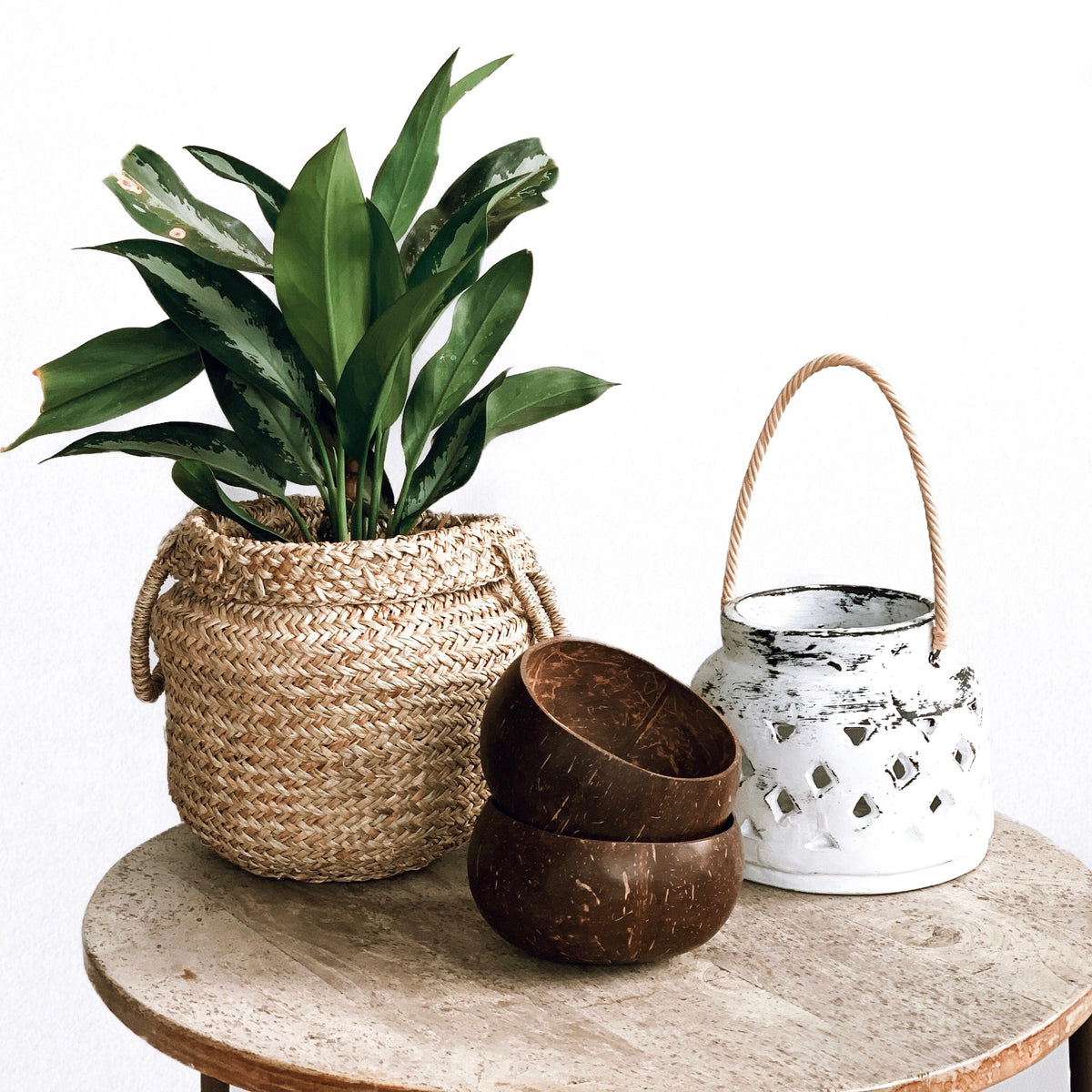 Bol de Coco Natural | Artesanal | Para Smoothies y Desayunos | Decoración