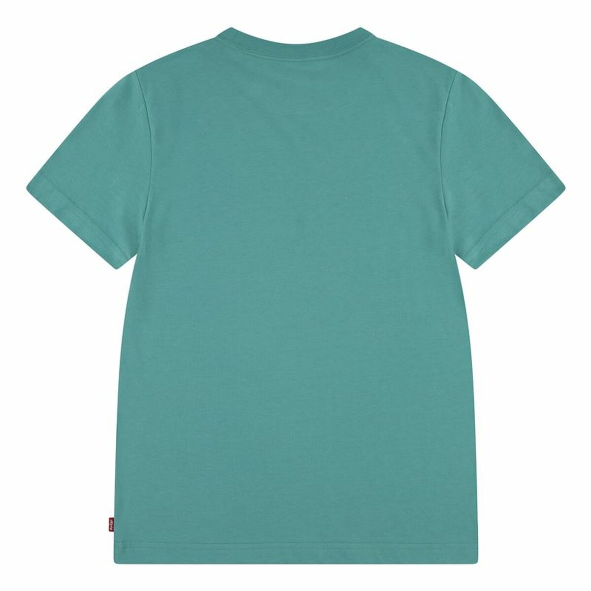 V5HE913D429A772271B2395AE594BE2C4ECR6162552P4