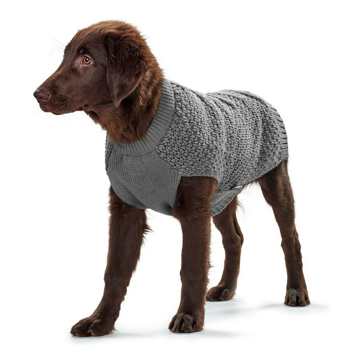 Jersey para perro Hunter Malmö en color gris, con perro de raza marrón luciendo el suéter de acrílico.