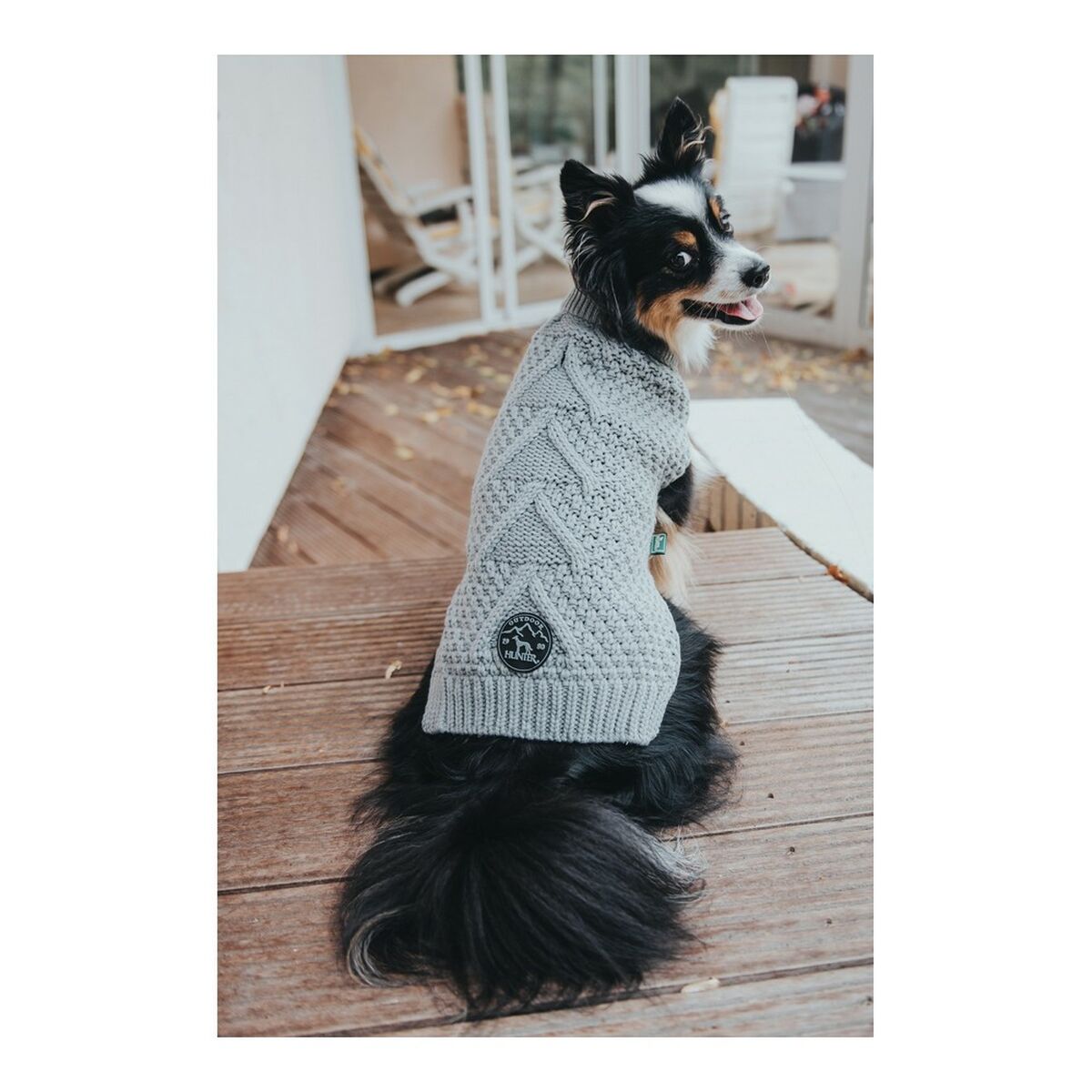 Perro usando jersey para perro Hunter Malmö en color gris, de diseño con trenzas, mostrando su cola negra.