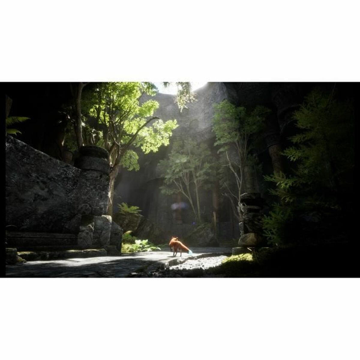 V5HB80E7BC681B828EEDFC2374E84BCA0B0R5781049P4